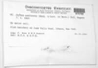 Image Associated With the Occurence